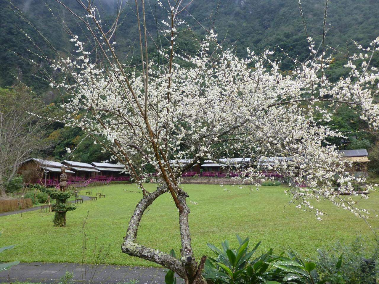 Taroko Village Hotel Fushi المظهر الخارجي الصورة